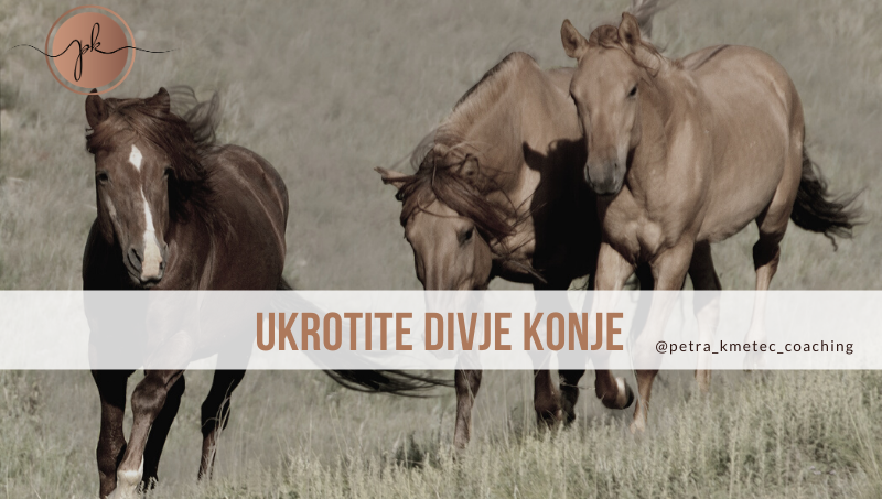 ukroti svoje misli