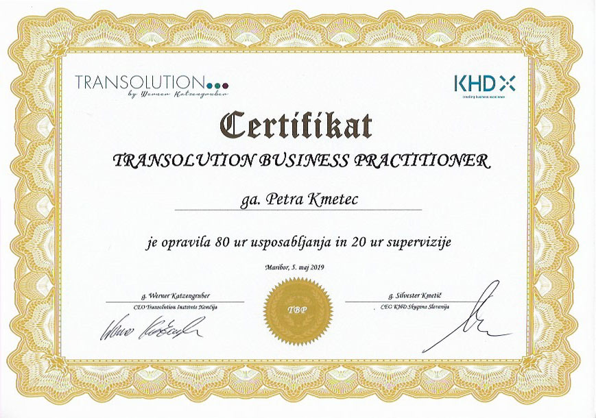 Transolution business practitioner