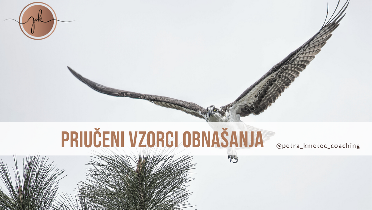 Petra Kmetec life coaching